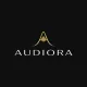 Audiora – svatební DJ, kapela a zábava